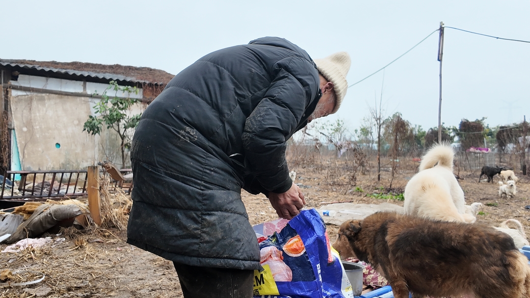 老蔡给“毛孩子”喂食。