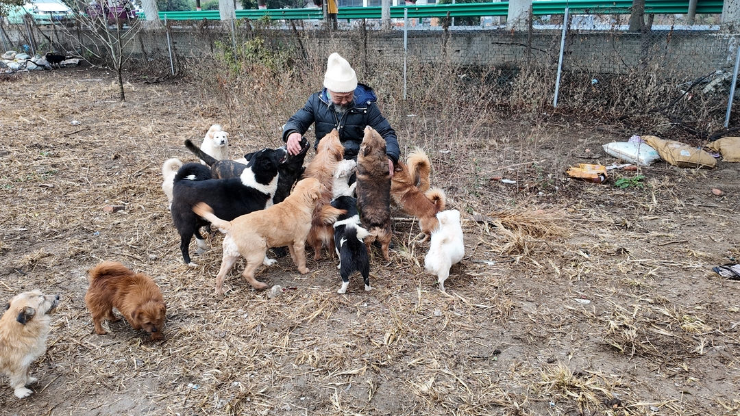 老蔡和他的“毛孩子”。